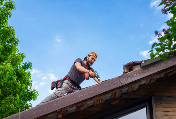 Best Solar Panel Roofing Installation  in Lighthouse Point, FL